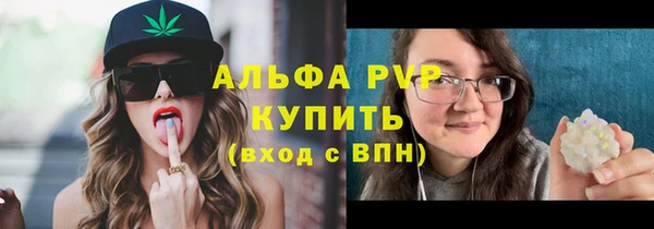 СК Алексин