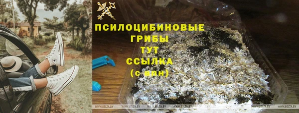 каннабис Алзамай